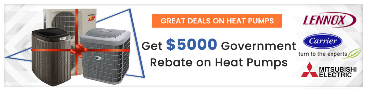 June Deals 2021 Cozy Comfort Plus June Deals 2021 Cozy Comfort Plus