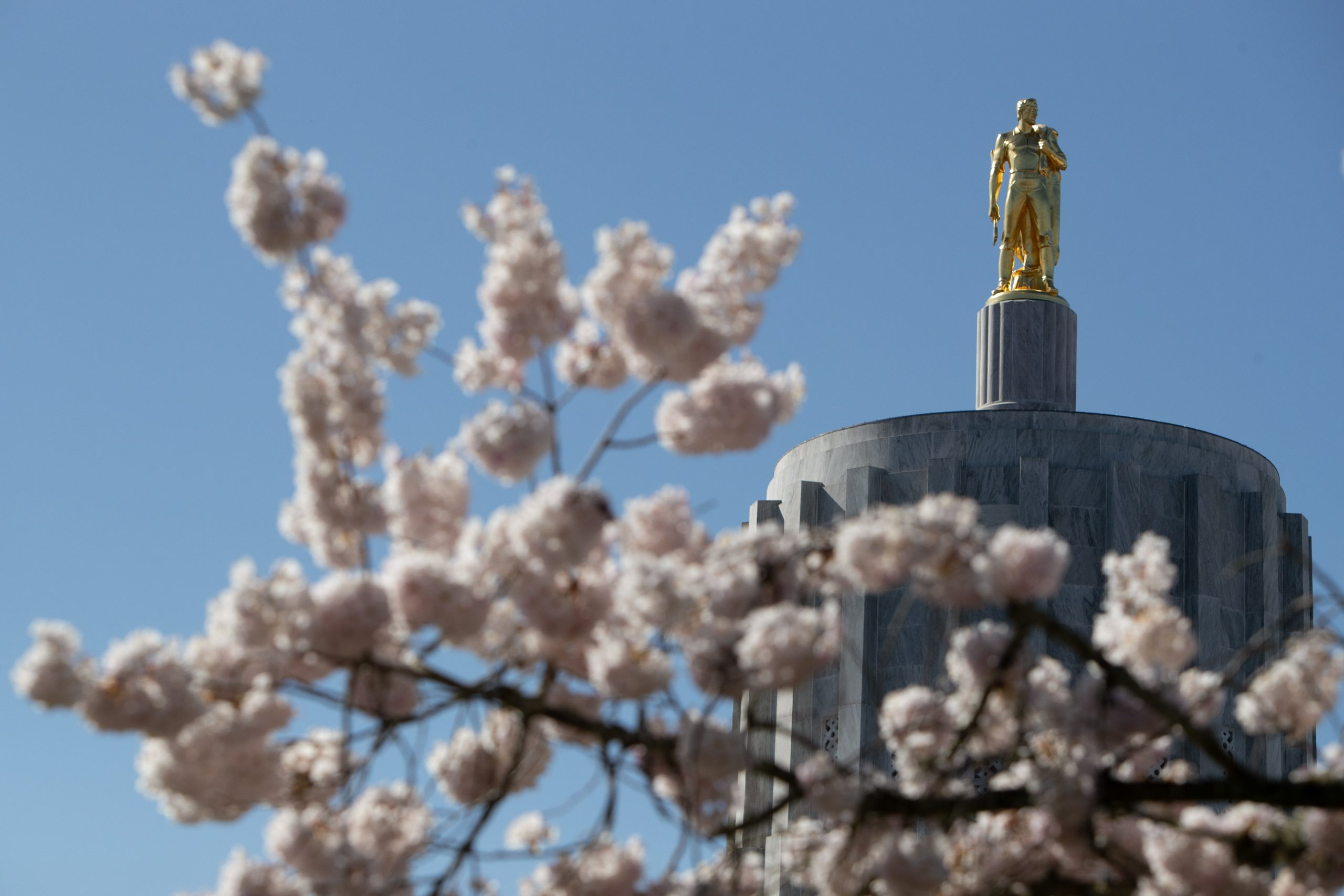Oregon Economic Forecast More Money For Legislature To Spend Bigger Oregon Economic Forecast More Money For Legislature To Spend Bigger